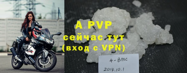 Альфа ПВП Гусиноозёрск
